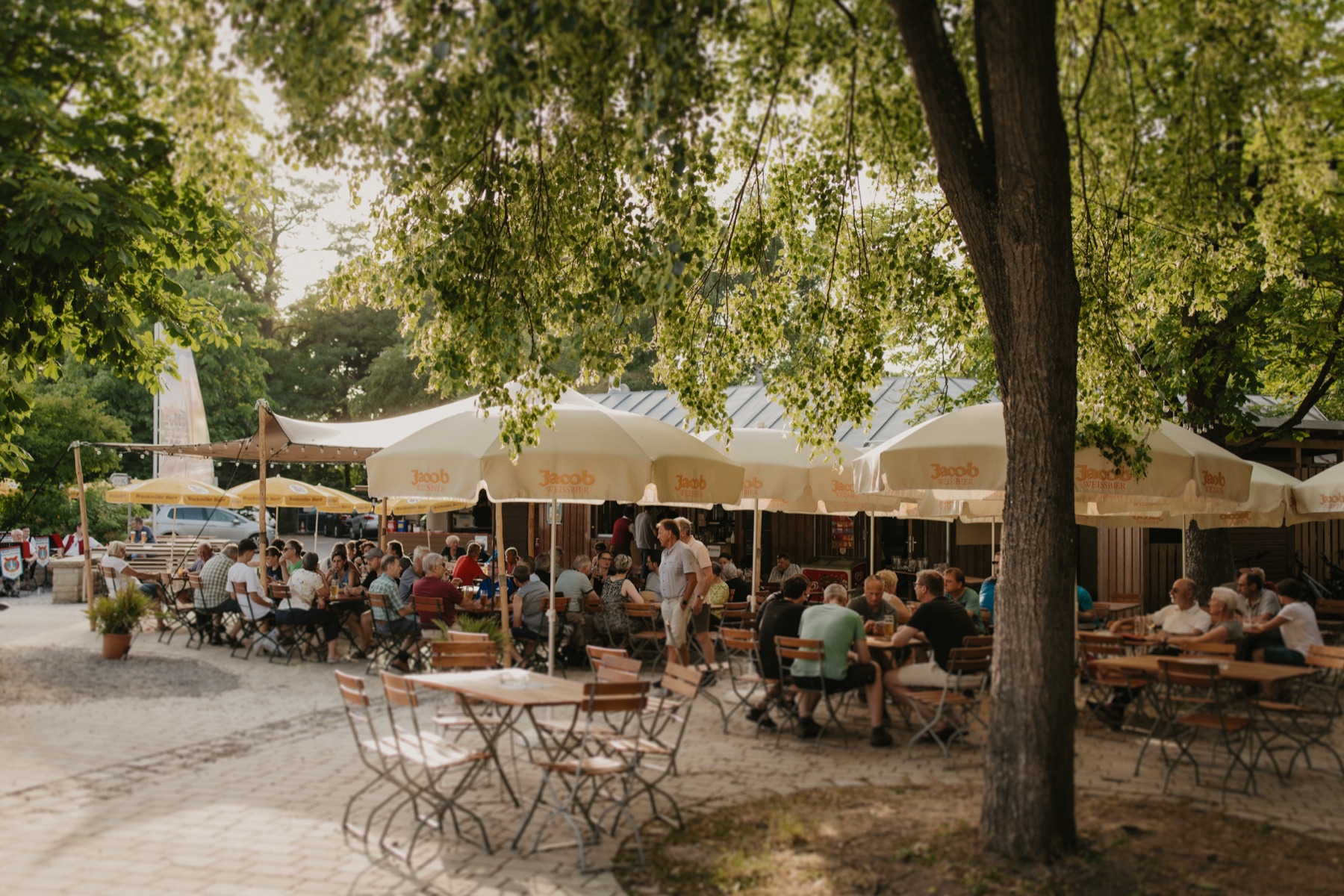 Besuchende im Biergarten unter großen Bäumen
